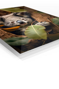 Curious Koala in the Gum Trees premium metal wall art – angled view