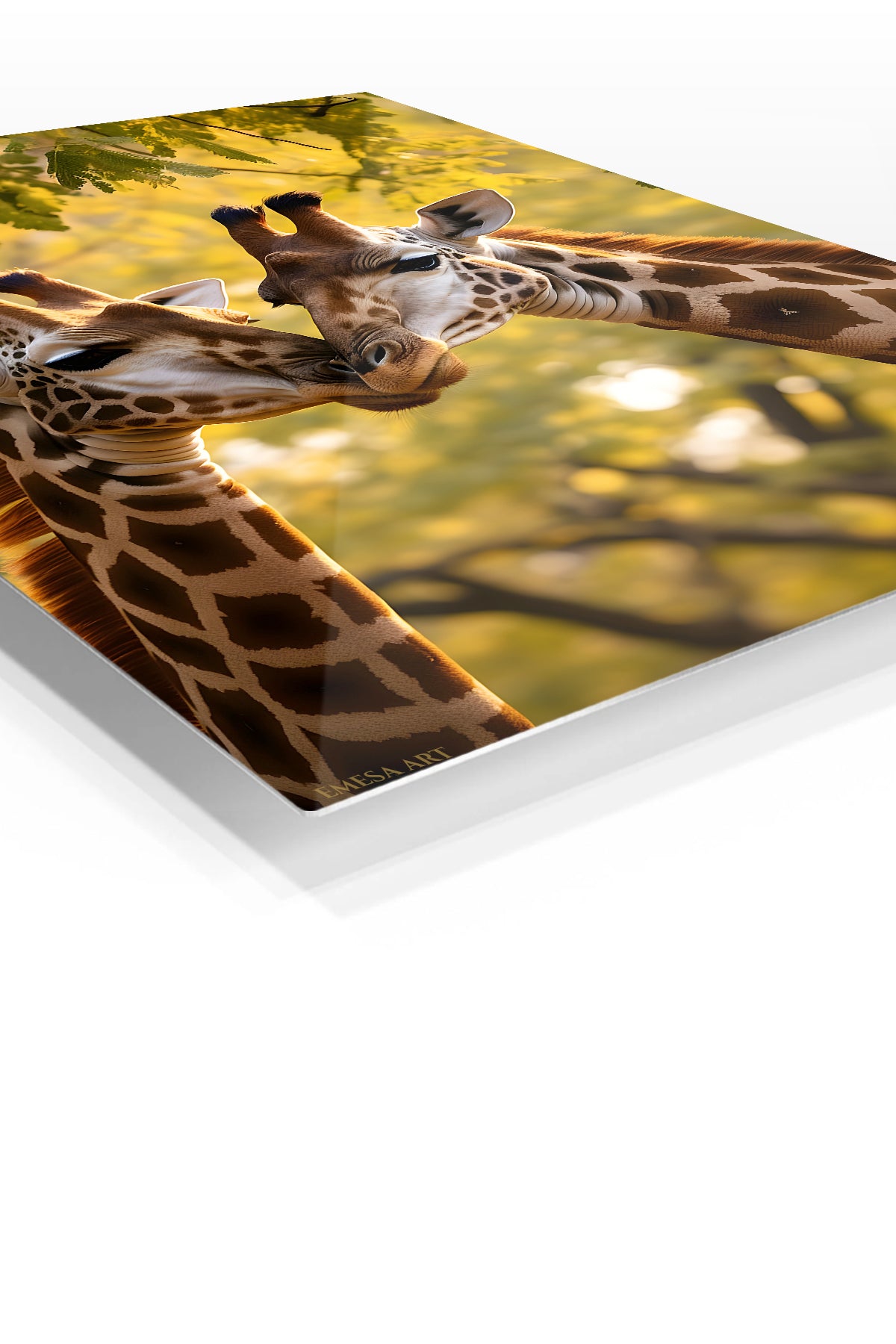 Tropical Reef Fish Garden premium metal wall art – angled view