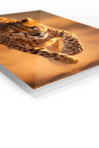 Coral Butterfly Garden premium metal wall art – angled view