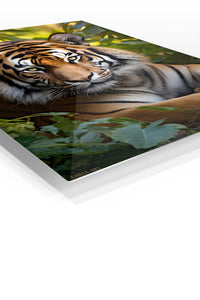 Joyful Dalmatian Leap premium metal wall art – angled view