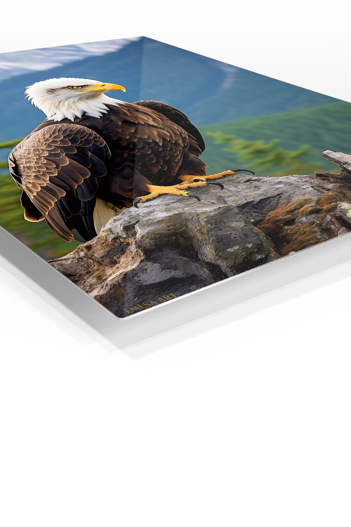 Jungle Tiger Portrait premium metal wall art – angled view