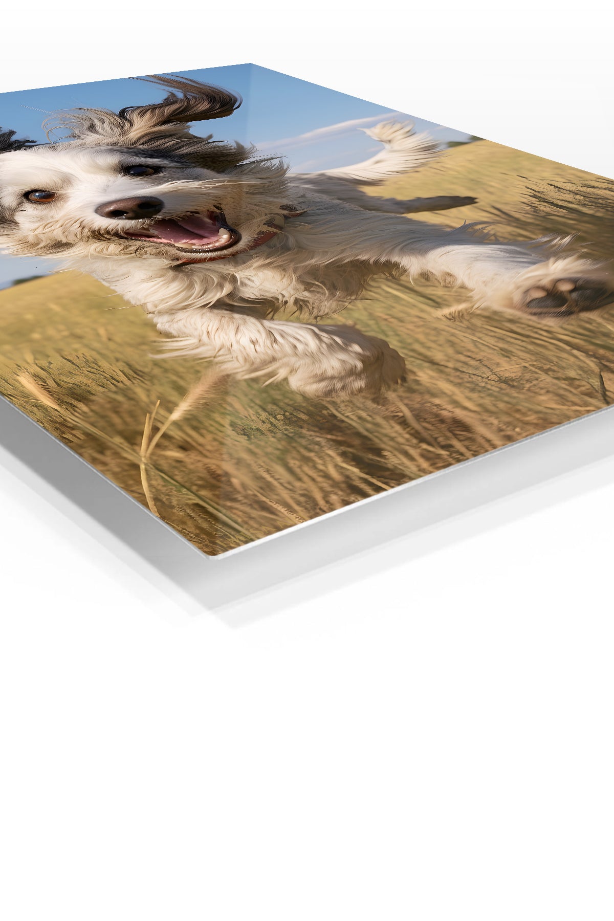 Curious Squirrel on a Garden Post premium metal wall art – angled view