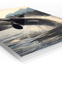 Graceful Swan Reflection premium metal wall art – angled view