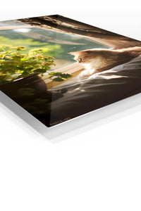 Mother Duck and Ducklings premium metal wall art – angled view