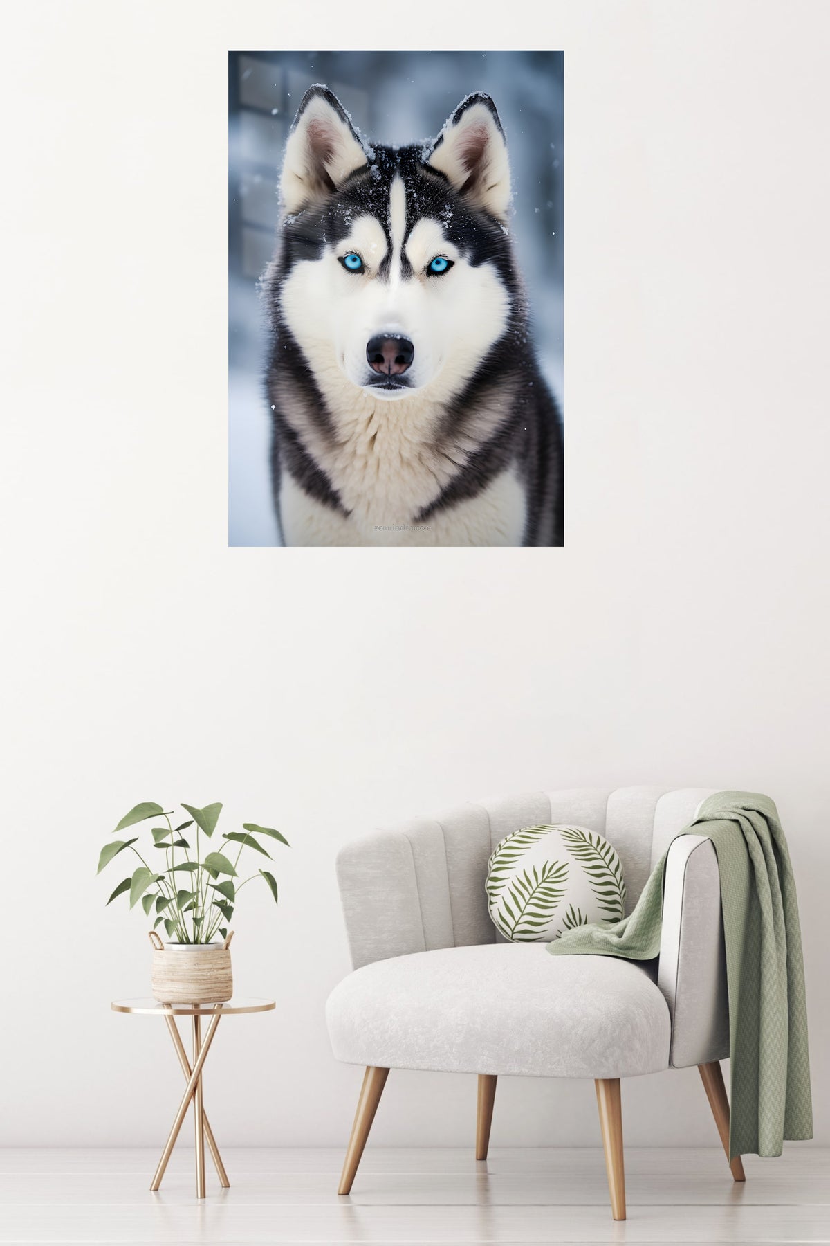 Joyful Collie in Golden Field metal wall art displayed in a contemporary living space