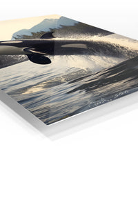 Orca Breach at Mountain Lake premium metal wall art – angled view