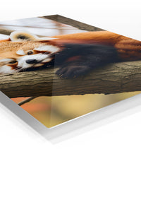 Rainbow Spider with Dewdrops premium metal wall art – angled view