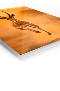 Sunlit Forest Rabbit premium metal wall art – angled view