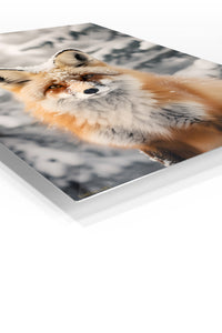 Waving Raccoon in Forest Stream premium metal wall art – angled view
