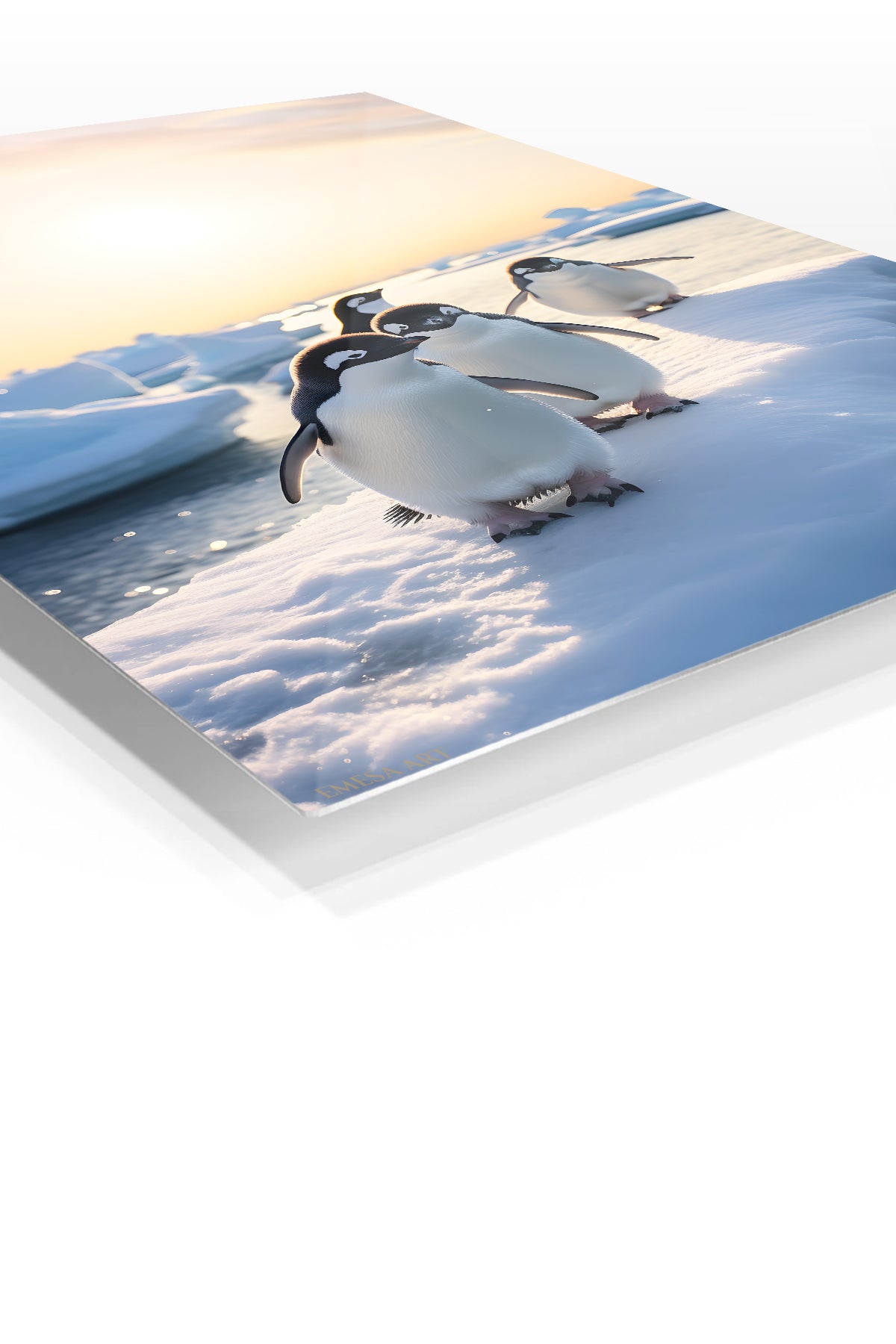 Hummingbird Among Luminous Hibiscus premium metal wall art – angled view