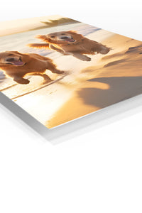 Sunlit River Otter premium metal wall art – angled view