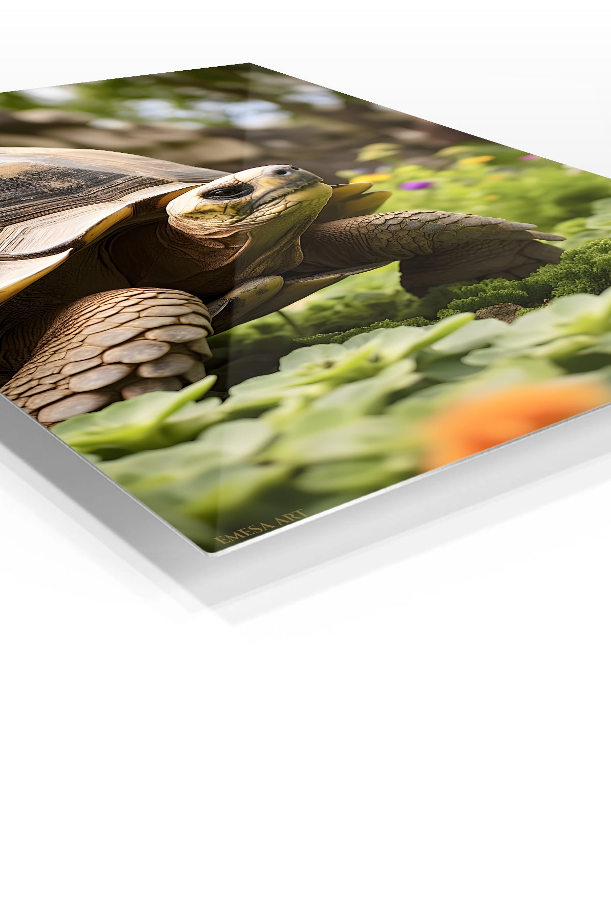 Tortoise in a Sunlit Garden premium metal wall art – angled view