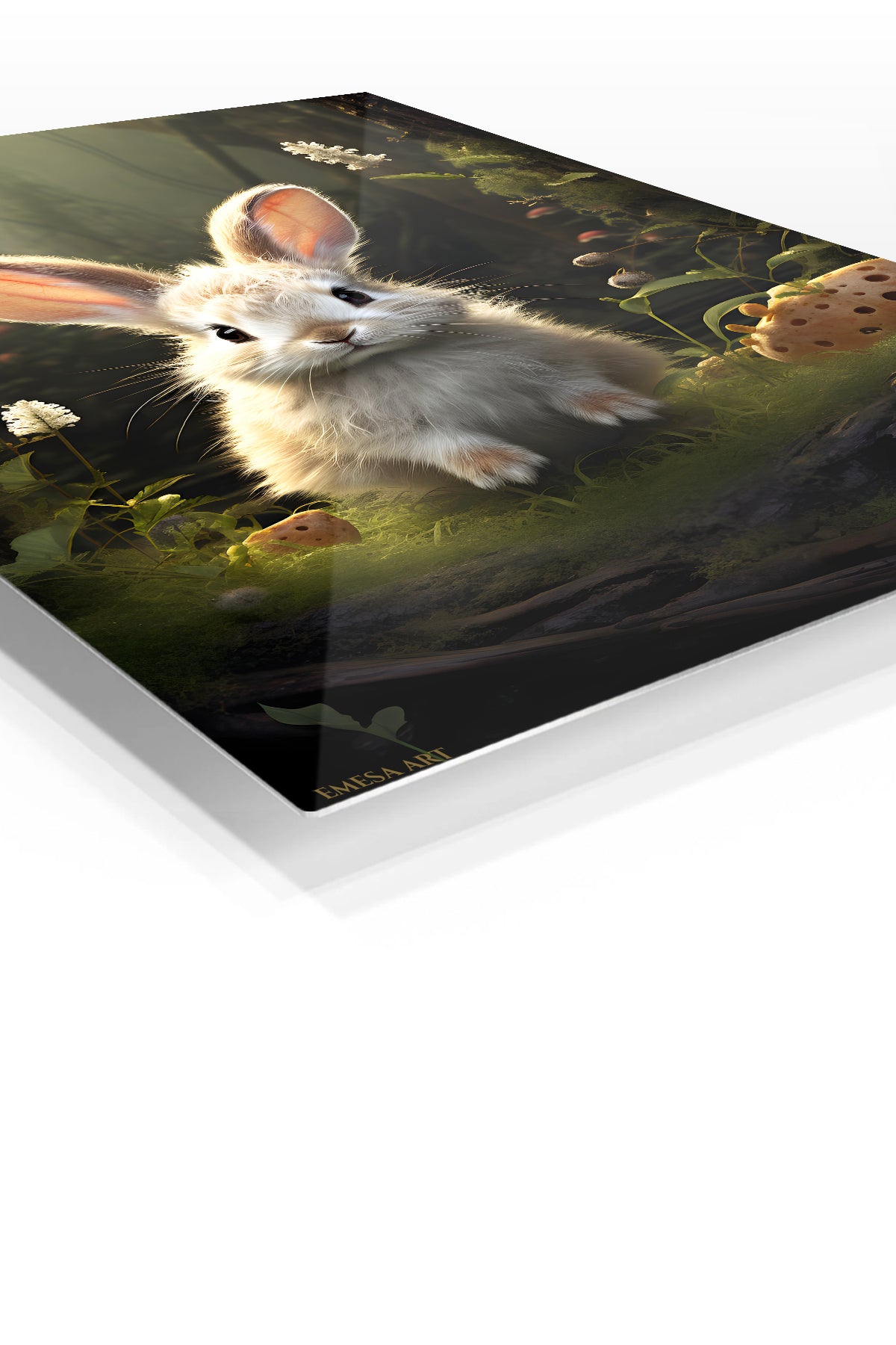 Sunlit Seal by Mountain Lake premium metal wall art – angled view