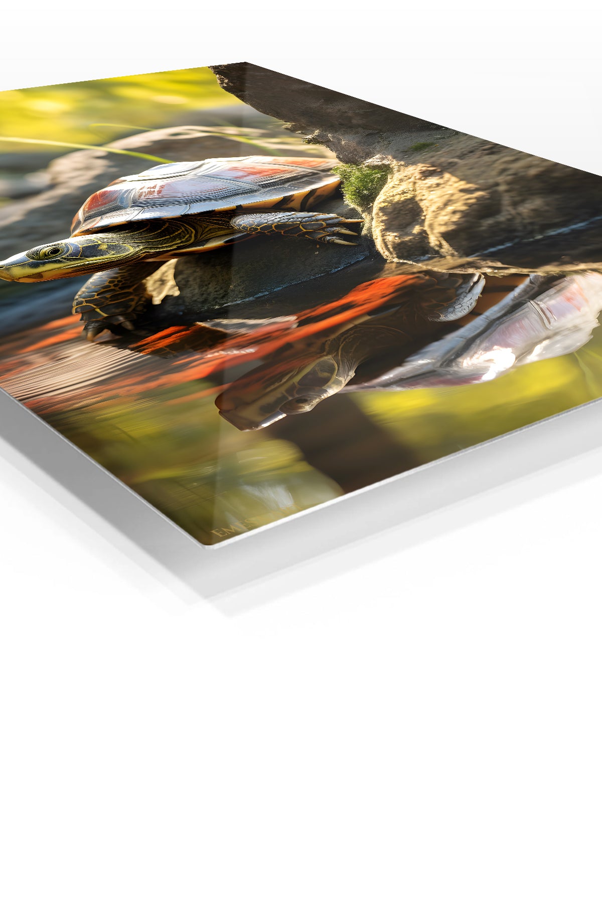 Sunlit Window Cat premium metal wall art – angled view