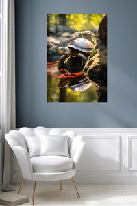 Sunlit Window Cat metal wall art displayed in a contemporary living space