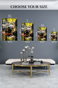 EMESA metal wall art size comparison guide for Sunlit Window Cat