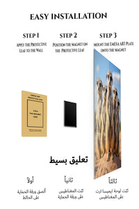 Magnetic mounting installation guide for Sunlit Turtle Reflection metal wall art