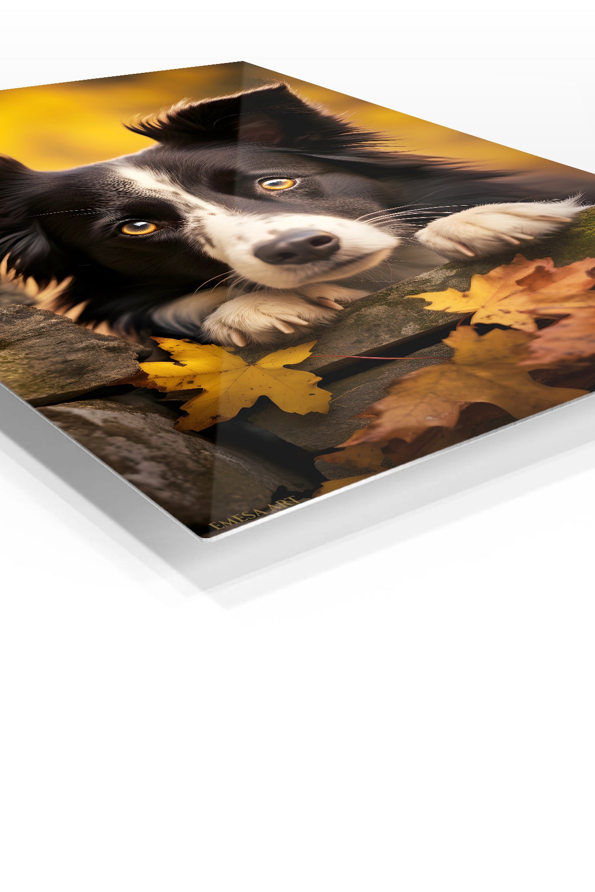 Curious Meerkat Family premium metal wall art – angled view