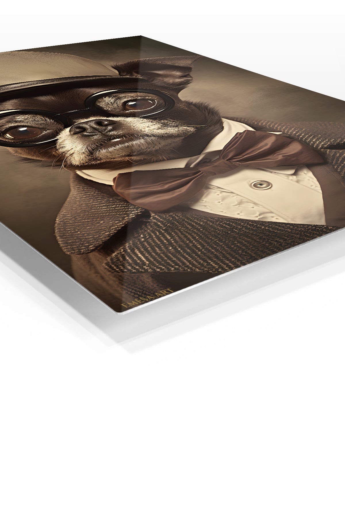 Cool Lion in Sunglasses premium metal wall art – angled view