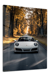 White Porsche 911 Forest Road wall art