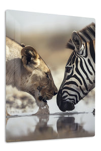 Shared Water, Shared Strength premium metal wall art – front view