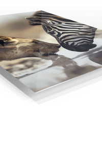 Shared Water, Shared Strength premium metal wall art – angled view