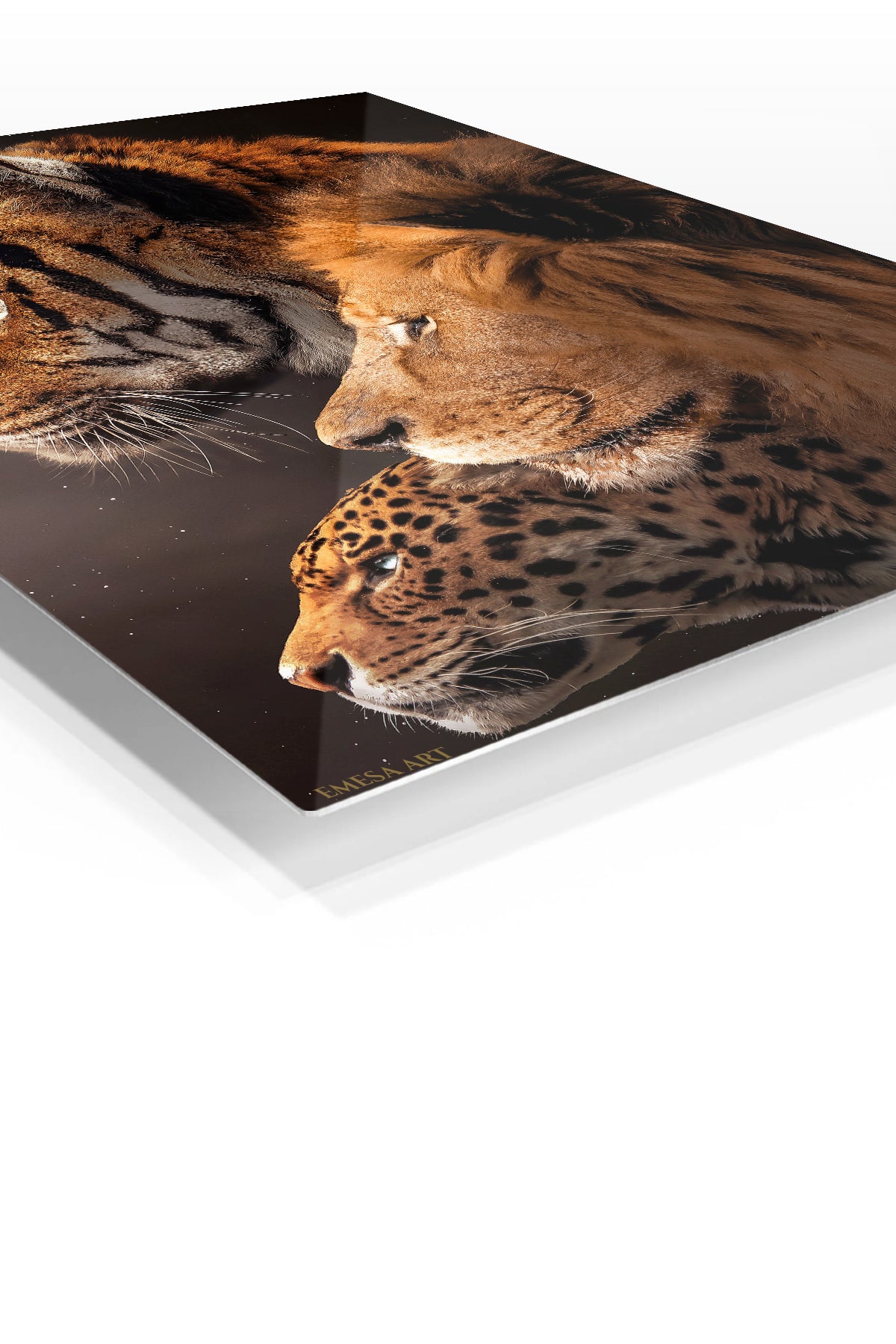 Three Great Cats in Profile premium metal wall art – angled view