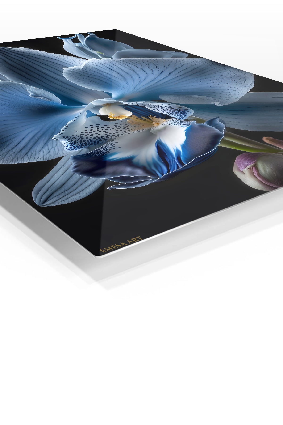 Midnight Blue Orchid Bloom premium metal wall art – angled view