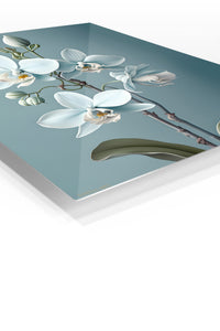 White Orchid Reverie premium metal wall art – angled view