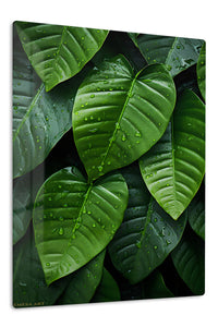 Rain-Kissed Tropical Leaves premium metal wall art – front view