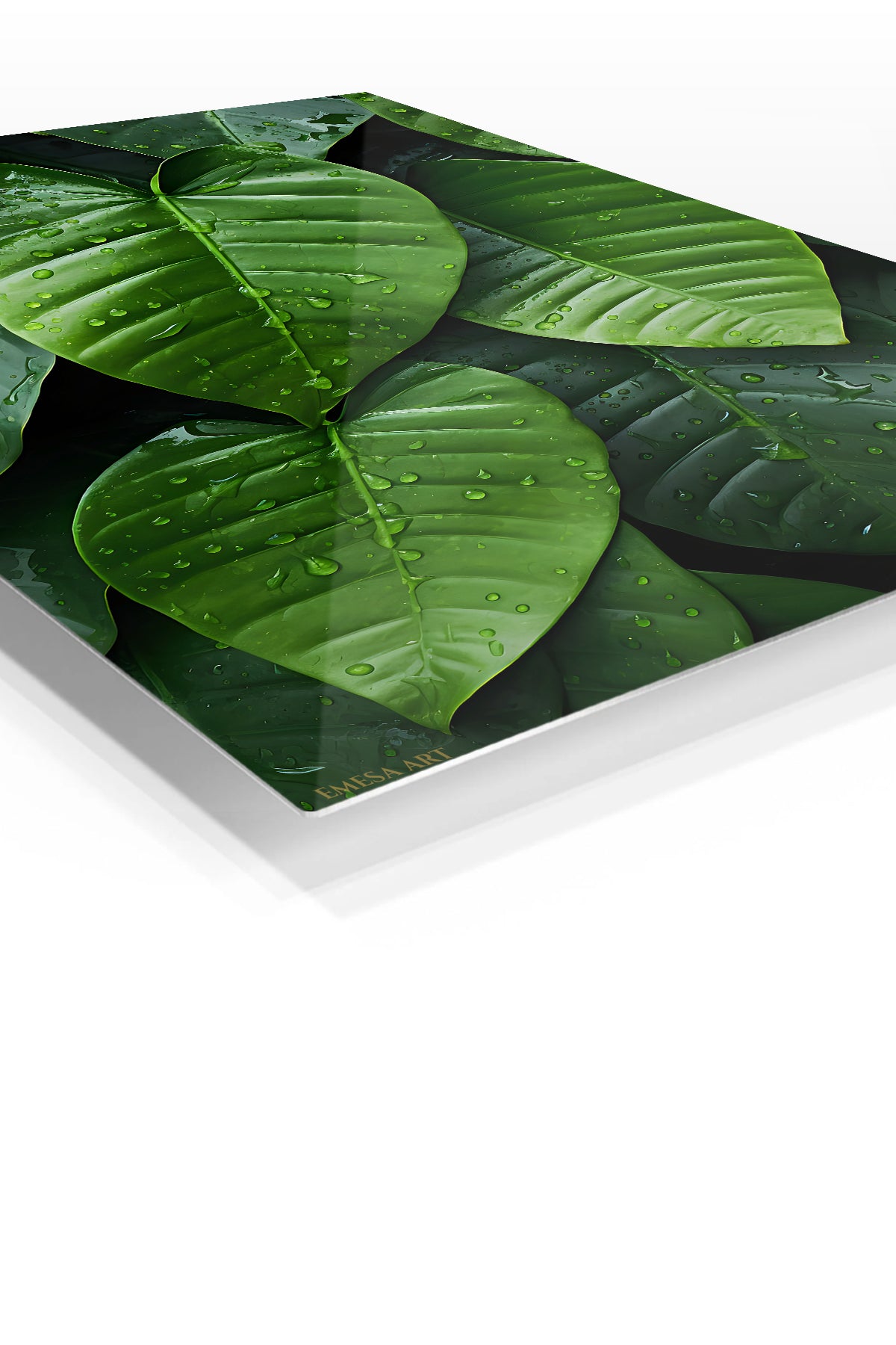 Rain-Kissed Tropical Leaves premium metal wall art – angled view