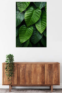 Rain-Kissed Tropical Leaves metal wall art displayed in a contemporary living space