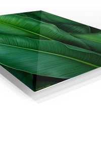Emerald Tropical Leaf Canopy premium metal wall art – angled view