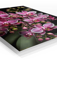 Radiant Pink Orchid Cascade premium metal wall art – angled view