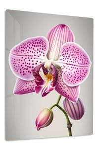 Spotted Pink Orchid Bloom premium metal wall art – front view