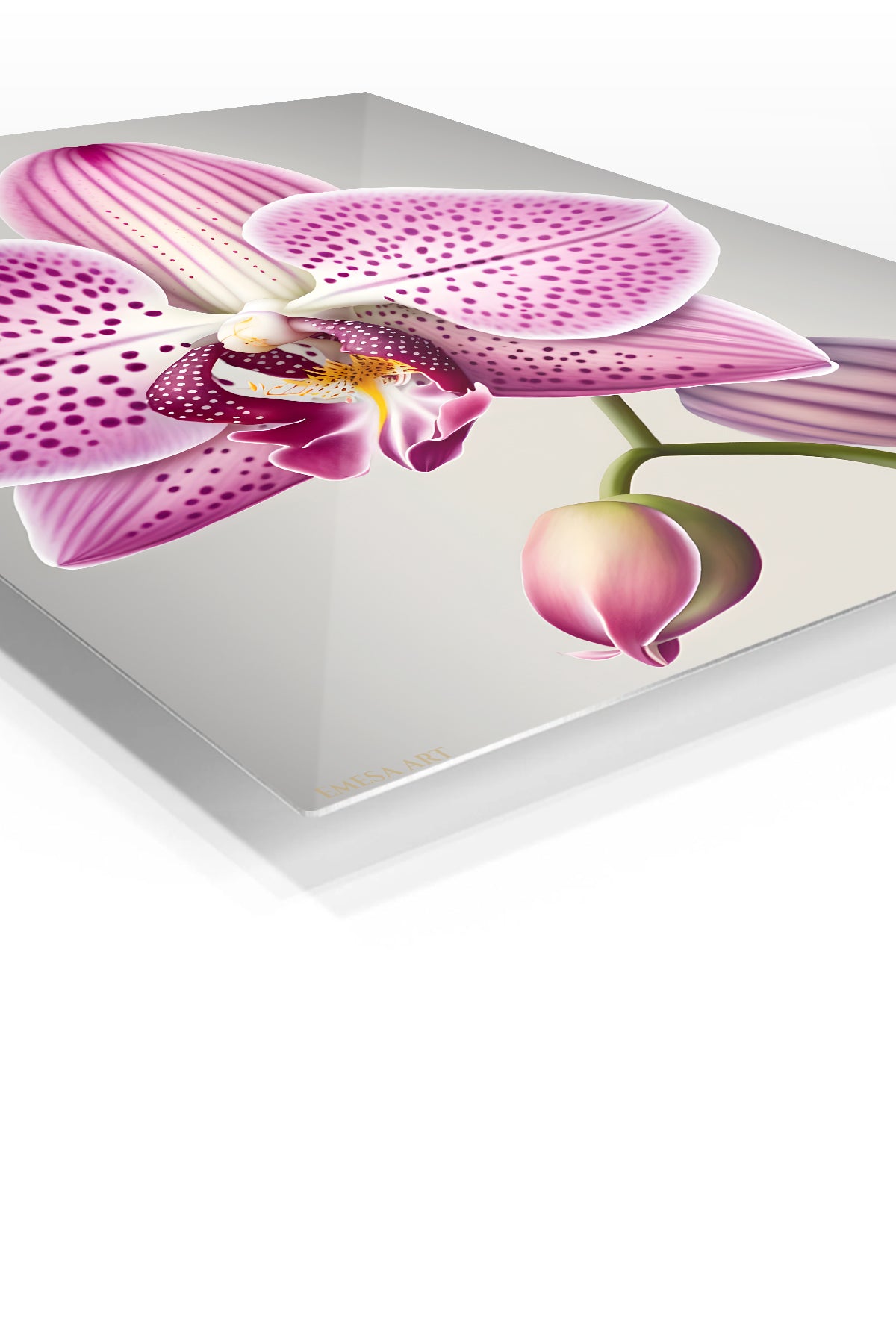 Spotted Pink Orchid Bloom premium metal wall art – angled view
