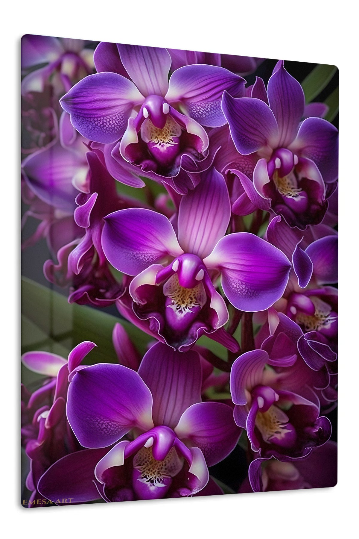 Velvet Purple Orchid Cluster premium metal wall art – front view