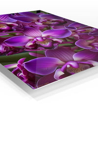 Velvet Purple Orchid Cluster premium metal wall art – angled view