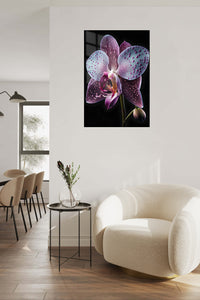Velvet Orchid Bloom metal wall art displayed in a contemporary living space