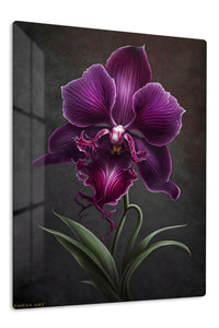 Velvet Purple Orchid premium metal wall art – front view