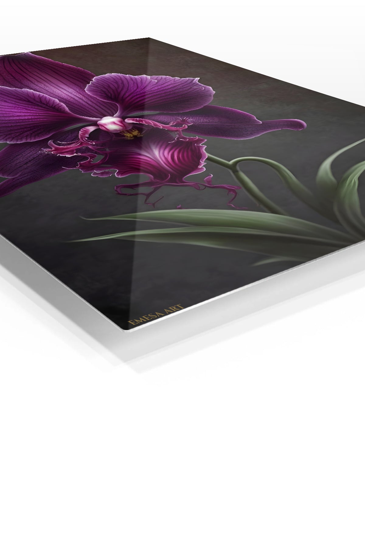 Velvet Purple Orchid premium metal wall art – angled view