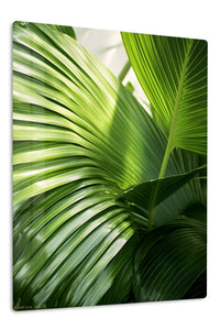 Sunlit Tropical Palm Leaves premium metal wall art – front view