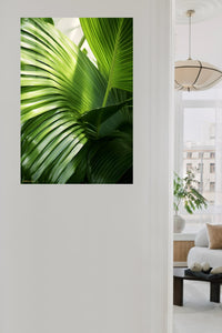 Sunlit Tropical Palm Leaves metal wall art displayed in a contemporary living space