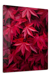 Crimson Leaf Canopy premium metal wall art – front view