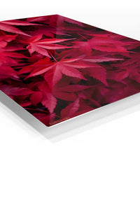Crimson Leaf Canopy premium metal wall art – angled view