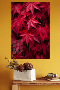 Crimson Leaf Canopy metal wall art displayed in a modern interior