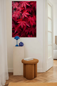 Crimson Leaf Canopy metal wall art displayed in a contemporary living space