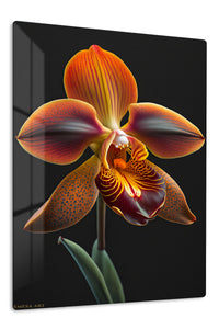 Amber Orchid on Black premium metal wall art – front view