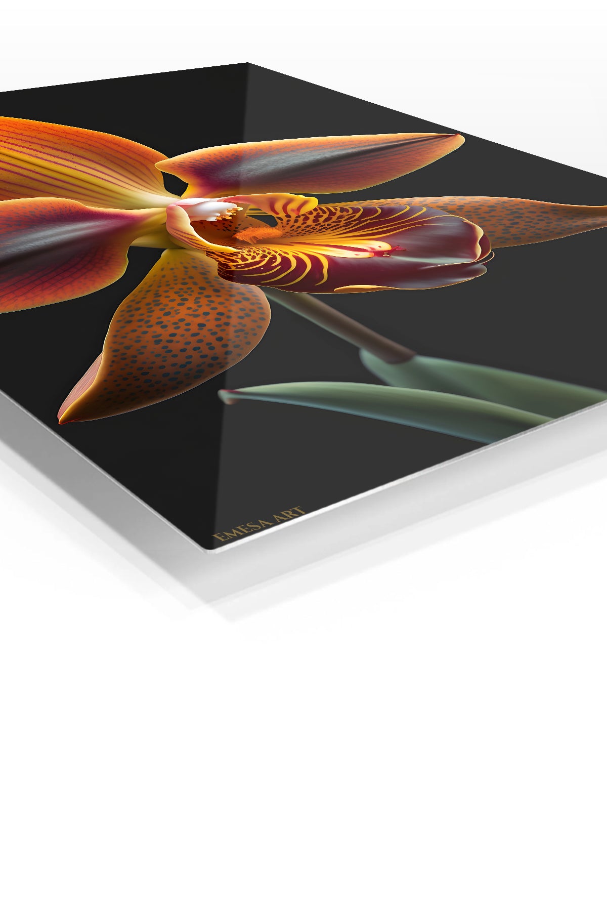 Amber Orchid on Black premium metal wall art – angled view