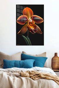 Amber Orchid on Black metal wall art displayed in a contemporary living space